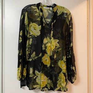 Beautiful Sheer Tunic Top